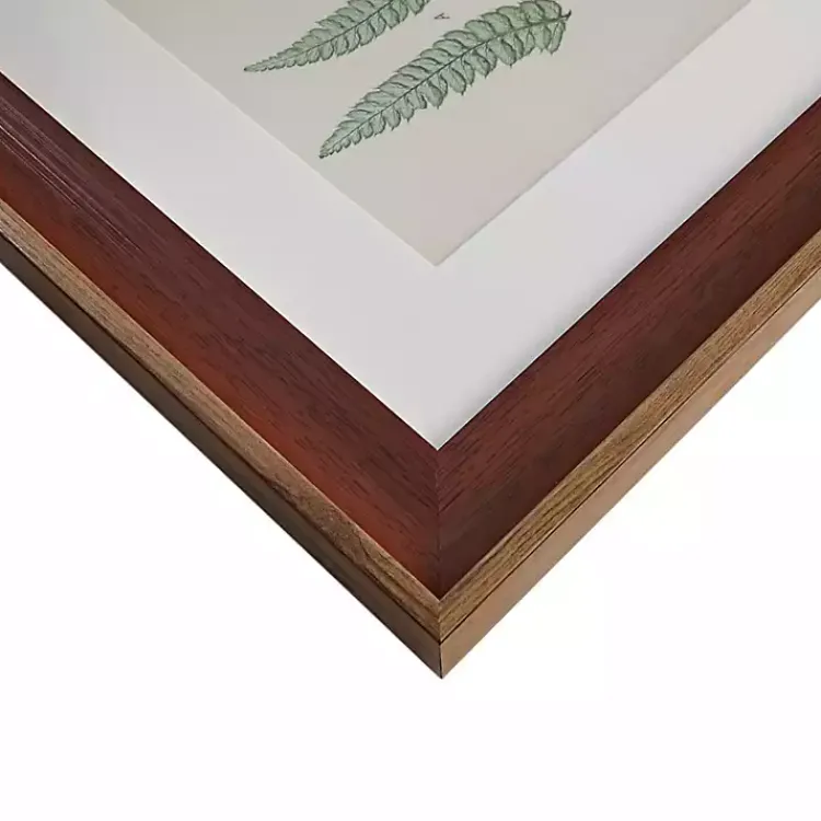 Kirklands Home Martha Stewart Lady Fern Framed Art Print Set Hot