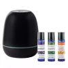 Home Fragrance>Kirklands Home Mini Majesto Essential Oils and Diffuser Gift Set