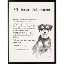 Kirklands Home Miniature Schnauzer Facts Framed Wall Plaque Hot