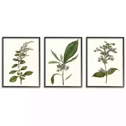 Kirklands Home Minimal Soft Flowers Framed Art Prints, Set of 3 Discount