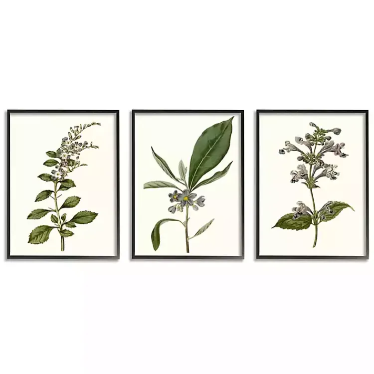 Kirklands Home Minimal Soft Flowers Framed Art Prints, Set of 3 Discount