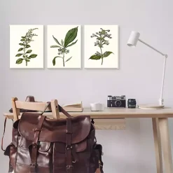 Kirklands Home Minimal Soft Flowers Framed Art Prints, Set of 3 Discount
