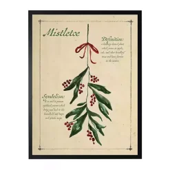 Christmas Art & Wall Decor>Kirklands Home Mistletoe Definition Framed Christmas Art Print