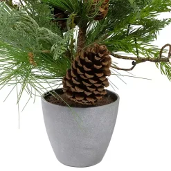Trees & Topiaries><noscript><img width=