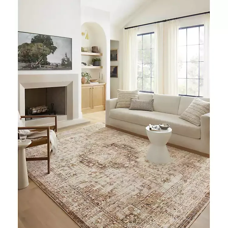 Kirklands Home Mocha and Cream Sorrento Area Rug, 5x7 Outlet