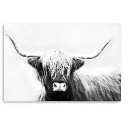 Kirklands Home Monochrome Longhorn Canvas Art Print, 60x40 in. Outlet