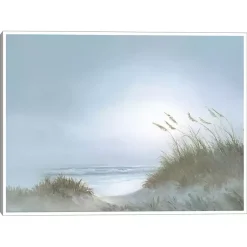 Kirklands Home Morning Dunes Framed Canvas Art Print Multi Online