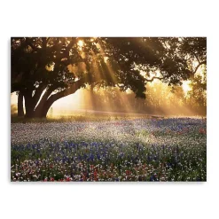 Kirklands Home Morning Meadow Giclee Canvas Art Print, 48x36 in. Yellow