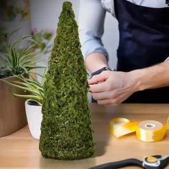 Trees & Topiaries>Kirklands Home Mossed Cone Tree Figurine