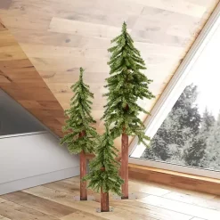 Christmas Trees><noscript><img width=