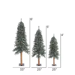 Christmas Trees><noscript><img width=
