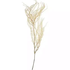 Stems & Bouquets>Kirklands Home Natural Bleached Andares Fern Stems, Set of 9 Ivory
