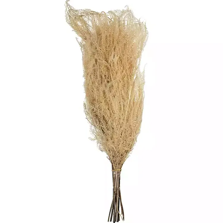 Stems & Bouquets>Kirklands Home Natural Bleached Andares Fern Stems, Set of 9 Ivory