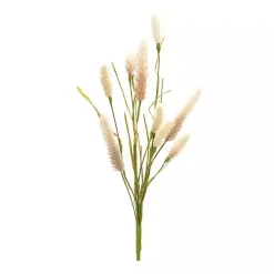 Stems & Bouquets>Kirklands Home Natural Foxtail Sprays, Set of 6