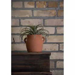 Vases><noscript><img width=