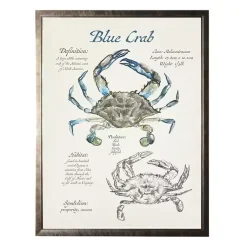 Kirklands Home Nature Study of a Blue Crab Framed Art Print Tan Sale