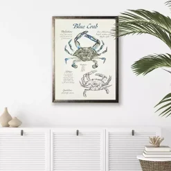 Kirklands Home Nature Study of a Blue Crab Framed Art Print Tan Sale