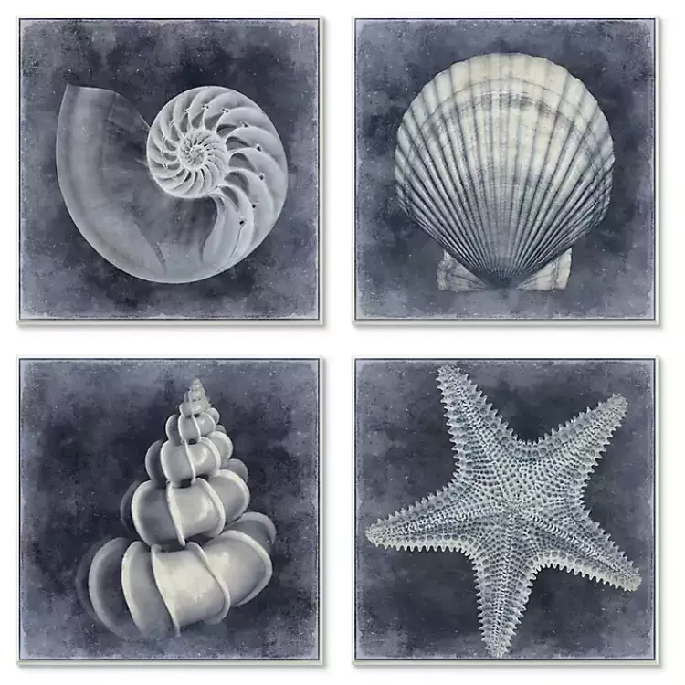 Kirklands Home Nautical Seashells 4-pc. Canvas Art Print Set Outlet