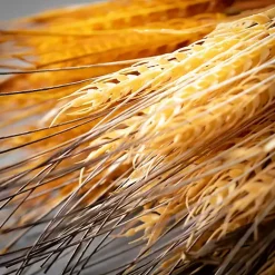 Fall>Kirklands Home Neutral Fall Wheat Bundles, Set of 2