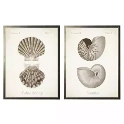 Kirklands Home Neutral Seashells Framed Art Prints, Set of 2