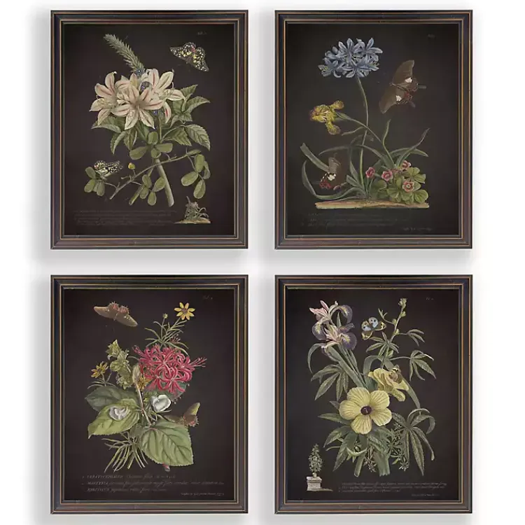 Kirklands Home Night Butterfly Blooms Framed Art Prints, Set of 4 New