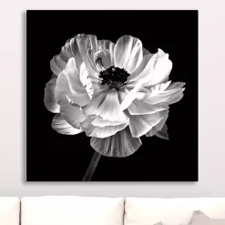 Kirklands Home Noir Ranunculus Floral Giclee Canvas Art Print Discount