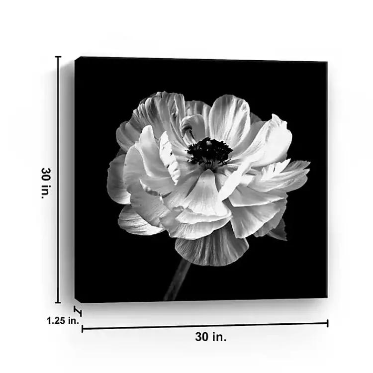 Kirklands Home Noir Ranunculus Floral Giclee Canvas Art Print Discount