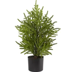 Christmas Arrangements & Garland>Kirklands Home Norfolk Island Pine Mini Tree in Black Planter