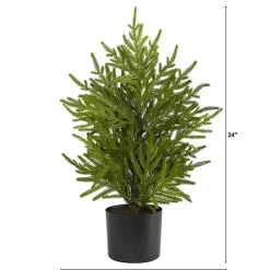 Christmas Arrangements & Garland>Kirklands Home Norfolk Island Pine Mini Tree in Black Planter