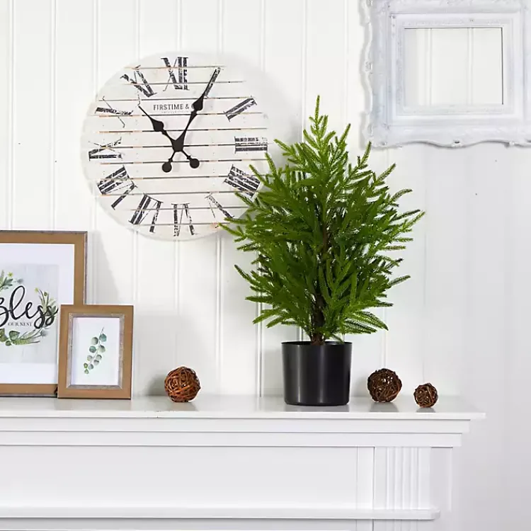 Christmas Arrangements & Garland>Kirklands Home Norfolk Island Pine Mini Tree in Black Planter