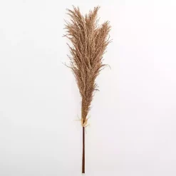 Stems & Bouquets>Kirklands Home Nutmeg Pampas Grass Bundle Brown