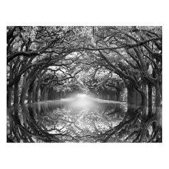 Kirklands Home Oak Alley Reflection Giclee Canvas Art Print Hot