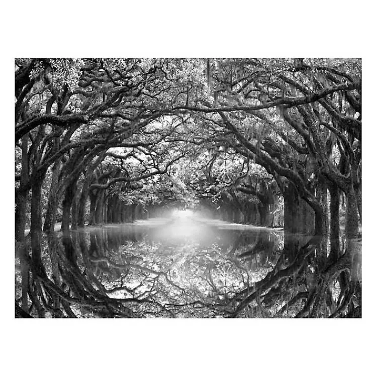 Kirklands Home Oak Alley Reflection Giclee Canvas Art Print Hot