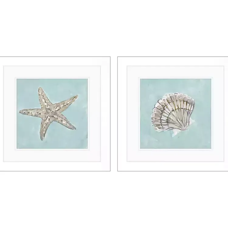 Kirklands Home Ocean Seashells II Framed Art Prints, Set of 2 New