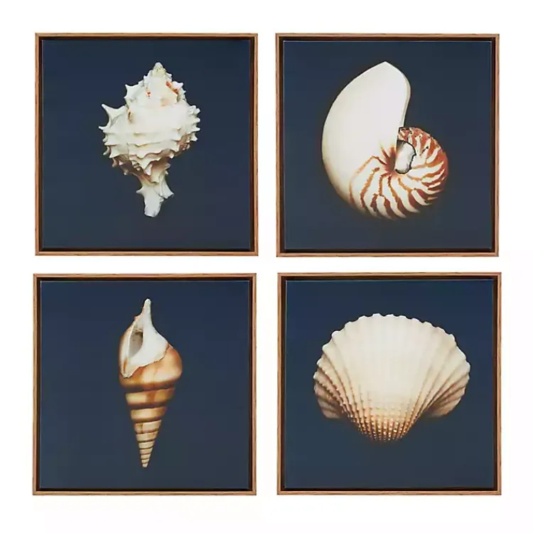 Kirklands Home Ocean Shell Framed Canvas Art Prints, Set of 4 Clearance