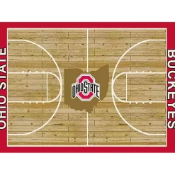Kirklands Home Ohio State Courtside Area Rug, 4x6