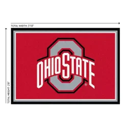 Kirklands Home Ohio State University Area Rug, 3x4 Sale