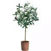 Trees & Topiaries>Kirklands Home Olive Branch Tree in Weathered Planter, 3 ft.