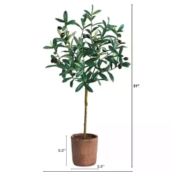 Trees & Topiaries>Kirklands Home Olive Branch Tree in Weathered Planter, 3 ft.