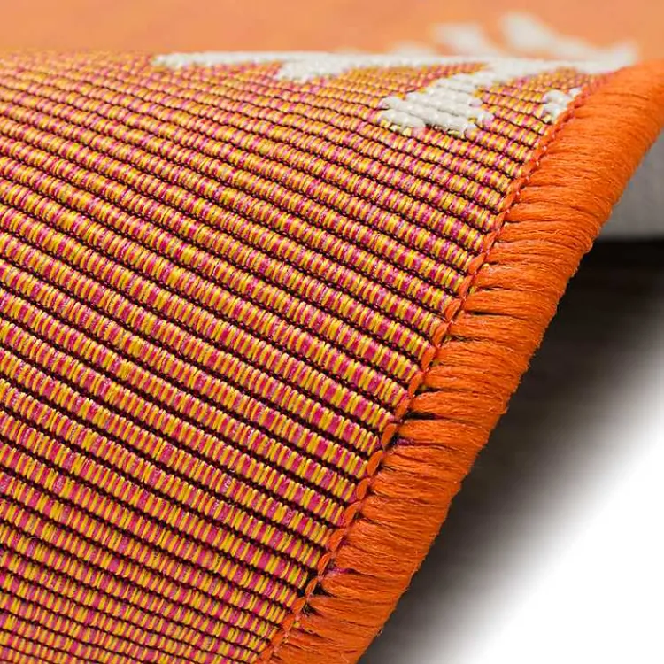 Kirklands Home Coral Indoor/Outdoor Rug, 2x3 Orange Outlet