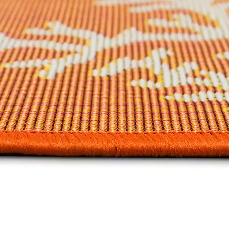 Kirklands Home Orange Coral Indoor/Outdoor Rug, 3x4 New
