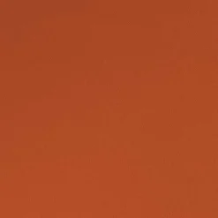 Kirklands Home Eliza Outdoor Curtain Panel Set, 84 in. Orange