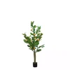 Trees & Topiaries>Kirklands Home Orange Fruit Tree in Black Pot, 4 ft.