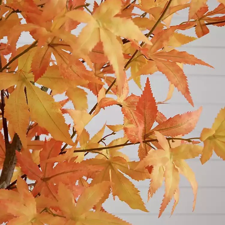 Trees & Topiaries>Kirklands Home Maple Tree in Black Planter, 7 ft. Orange