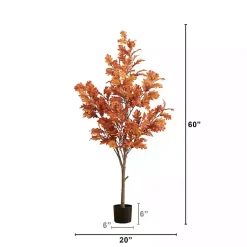 Trees & Topiaries>Kirklands Home Orange Oak Tree in Black Planter, 5 ft.