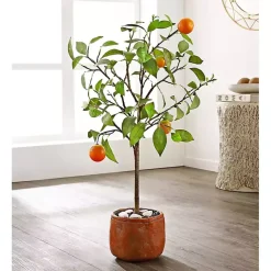 Trees & Topiaries>Kirklands Home Orange Tree in White Pot