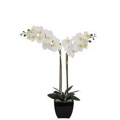Arrangements & Greenery>Kirklands Home Orchid Arrangement in Black Pot