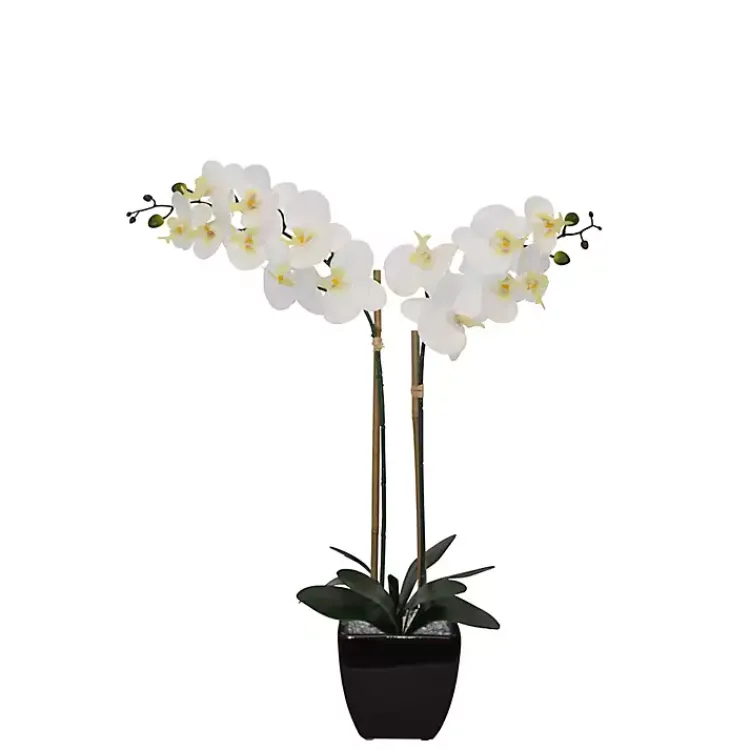 Arrangements & Greenery>Kirklands Home Orchid Arrangement in Black Pot