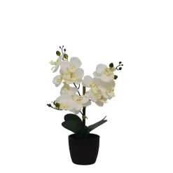 Arrangements & Greenery>Kirklands Home Orchid Arrangement in Black Decorative Pot