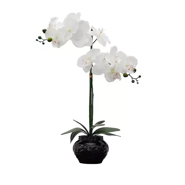 Arrangements & Greenery>Kirklands Home Orchid Arrangement in Floral Planter Black